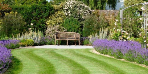 Ideální trávník s vlastními rukama: jak a když je nejlepší zasít trávu trávníku?